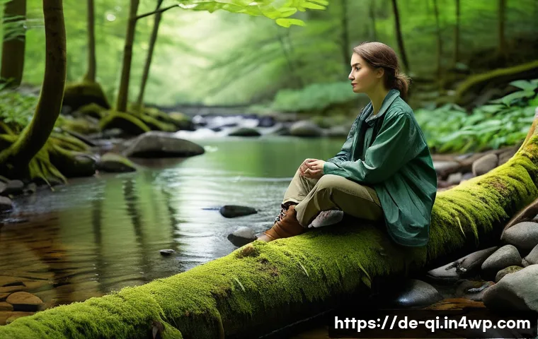 명상적 여행의 경험과 감정 관련 이미지 1