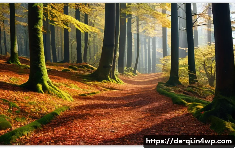 명상적 여행의 주제로 한 영상 제작 관련 이미지 2