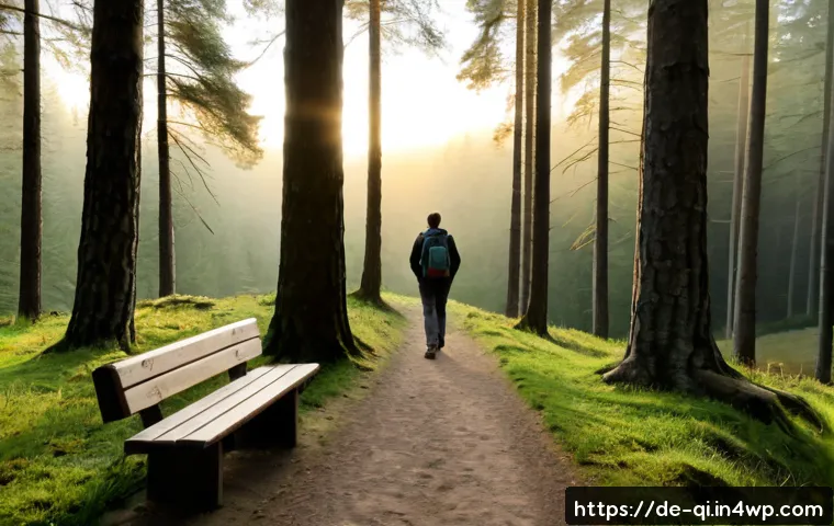 명상적 여행 루트 추천 - Photorealistic contemplative travel scene in Germany, a lone adult hiker with a small backpack walki...
